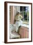 Brown Frame