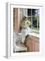 White Frame