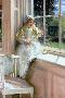 Just the Print