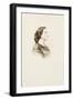 Laure Eiffel Collin, buste, de profil-Alexandre Ken-Framed Giclee Print