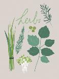 Collection of Herbs-Laure Girardin Vissian-Giclee Print