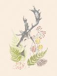 Collection of Herbs-Laure Girardin Vissian-Giclee Print