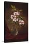 Laurel Blossoms in a Vase-Martin Johnson Heade-Stretched Canvas