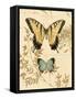 Laurel Curiosity-Chad Barrett-Framed Stretched Canvas