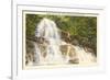 Laurel Falls, Great Smoky Mountains-null-Framed Premium Giclee Print