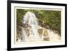 Laurel Falls, Great Smoky Mountains-null-Framed Premium Giclee Print