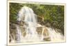 Laurel Falls, Great Smoky Mountains-null-Mounted Premium Giclee Print