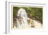 Laurel Falls, Great Smoky Mountains-null-Framed Art Print