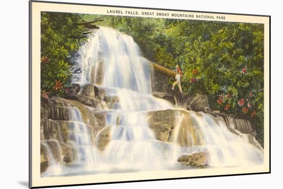 Laurel Falls, Great Smoky Mountains-null-Mounted Art Print