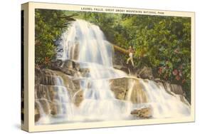 Laurel Falls, Great Smoky Mountains-null-Stretched Canvas