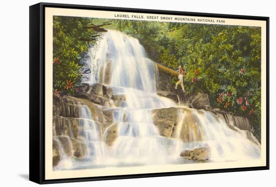 Laurel Falls, Great Smoky Mountains-null-Framed Stretched Canvas