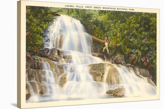 Laurel Falls, Great Smoky Mountains-null-Stretched Canvas