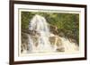 Laurel Falls, Great Smoky Mountains-null-Framed Art Print