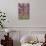 Laurel Grove II-Jennifer Goldberger-Mounted Art Print displayed on a wall