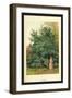 Laurel-W.h.j. Boot-Framed Art Print