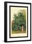 Laurel-W.h.j. Boot-Framed Art Print