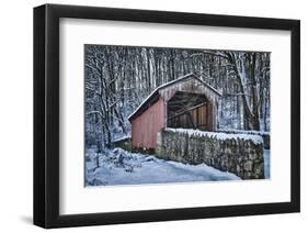 Laurels Bridge #2-Robert Lott-Framed Art Print