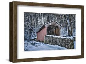 Laurels Bridge #2-Robert Lott-Framed Art Print