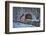 Laurels Bridge #2-Robert Lott-Framed Art Print