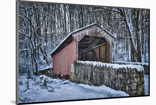 Laurels Bridge #2-Robert Lott-Mounted Art Print