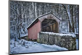 Laurels Bridge #2-Robert Lott-Mounted Art Print