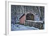 Laurels Bridge #2-Robert Lott-Framed Art Print