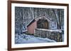 Laurels Bridge #2-Robert Lott-Framed Art Print