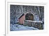 Laurels Bridge #2-Robert Lott-Framed Art Print