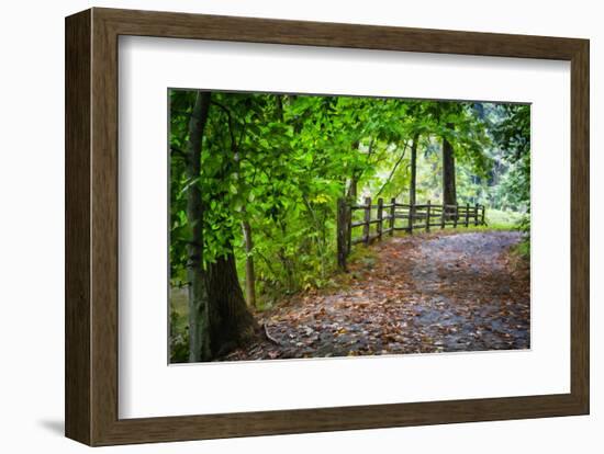 Laurels Pathway-Robert Lott-Framed Art Print