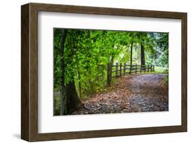 Laurels Pathway-Robert Lott-Framed Art Print