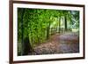 Laurels Pathway-Robert Lott-Framed Giclee Print