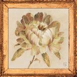 Chrysanthemum Floret Detail-Lauren Hamilton-Framed Art Print