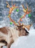 Christmas Lights Reindeer-Lauren Rader-Art Print
