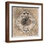 Brown Frame