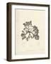 Laurencia caespitosa-Henry Bradbury-Framed Giclee Print