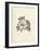 Laurencia caespitosa-Henry Bradbury-Framed Giclee Print