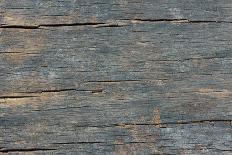Details of Old Wood Texture-laurentiu iordache-Photographic Print