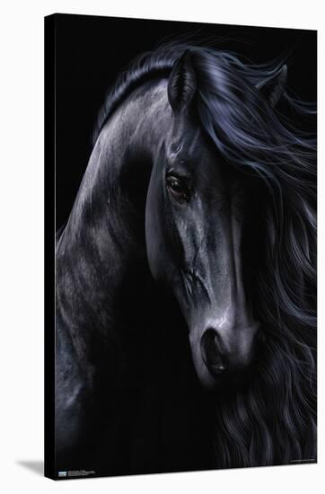 Laurie Prindle - The Black-Trends International-Stretched Canvas