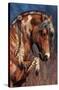 Laurie Prindle - War Pony-Trends International-Stretched Canvas