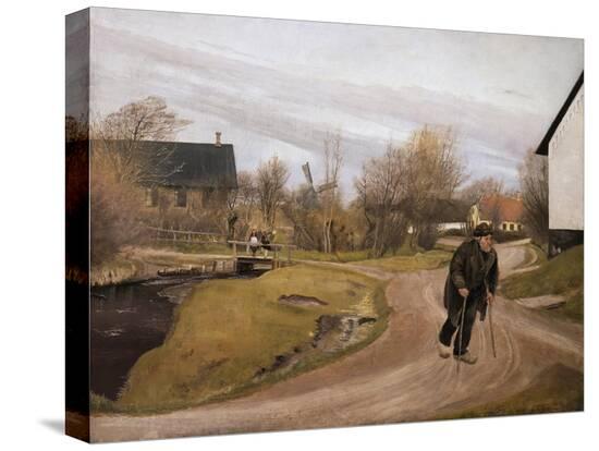 Stretched Canvas Print, , large