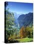 Lauterbrunnen Valley, Berner Oberland, Switzerland-Peter Adams-Stretched Canvas