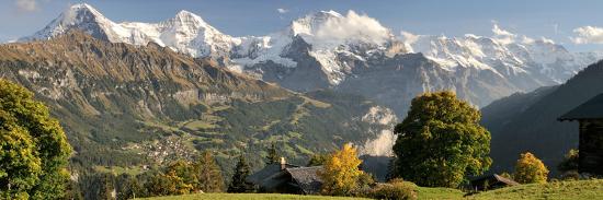 Premium Photographic Print, , large