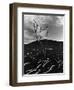 Lava and Tree, Hawaii, c. 1980-Brett Weston-Framed Photographic Print