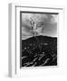 Lava and Tree, Hawaii, c. 1980-Brett Weston-Framed Photographic Print