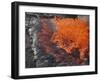 Lava Bursting at Edge of Active Lava Lake, Erta Ale Volcano, Danakil Depression, Ethiopia-Stocktrek Images-Framed Photographic Print