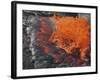 Lava Bursting at Edge of Active Lava Lake, Erta Ale Volcano, Danakil Depression, Ethiopia-Stocktrek Images-Framed Photographic Print