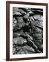 Lava, c. 1980-Brett Weston-Framed Photographic Print