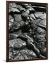 Lava, c. 1980-Brett Weston-Framed Photographic Print