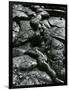 Lava, c. 1980-Brett Weston-Framed Photographic Print