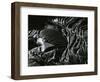 Lava, c. 1980-Brett Weston-Framed Photographic Print